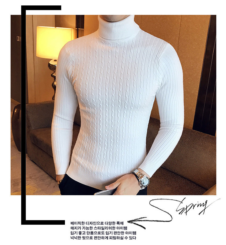 Auster Milano Knit