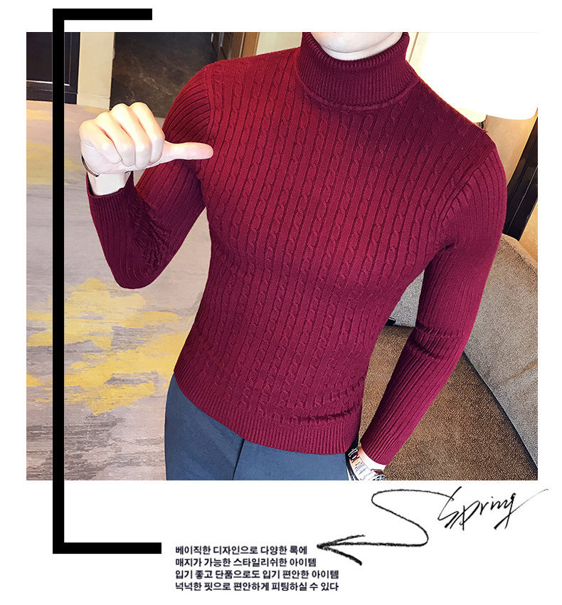 Auster Milano Knit