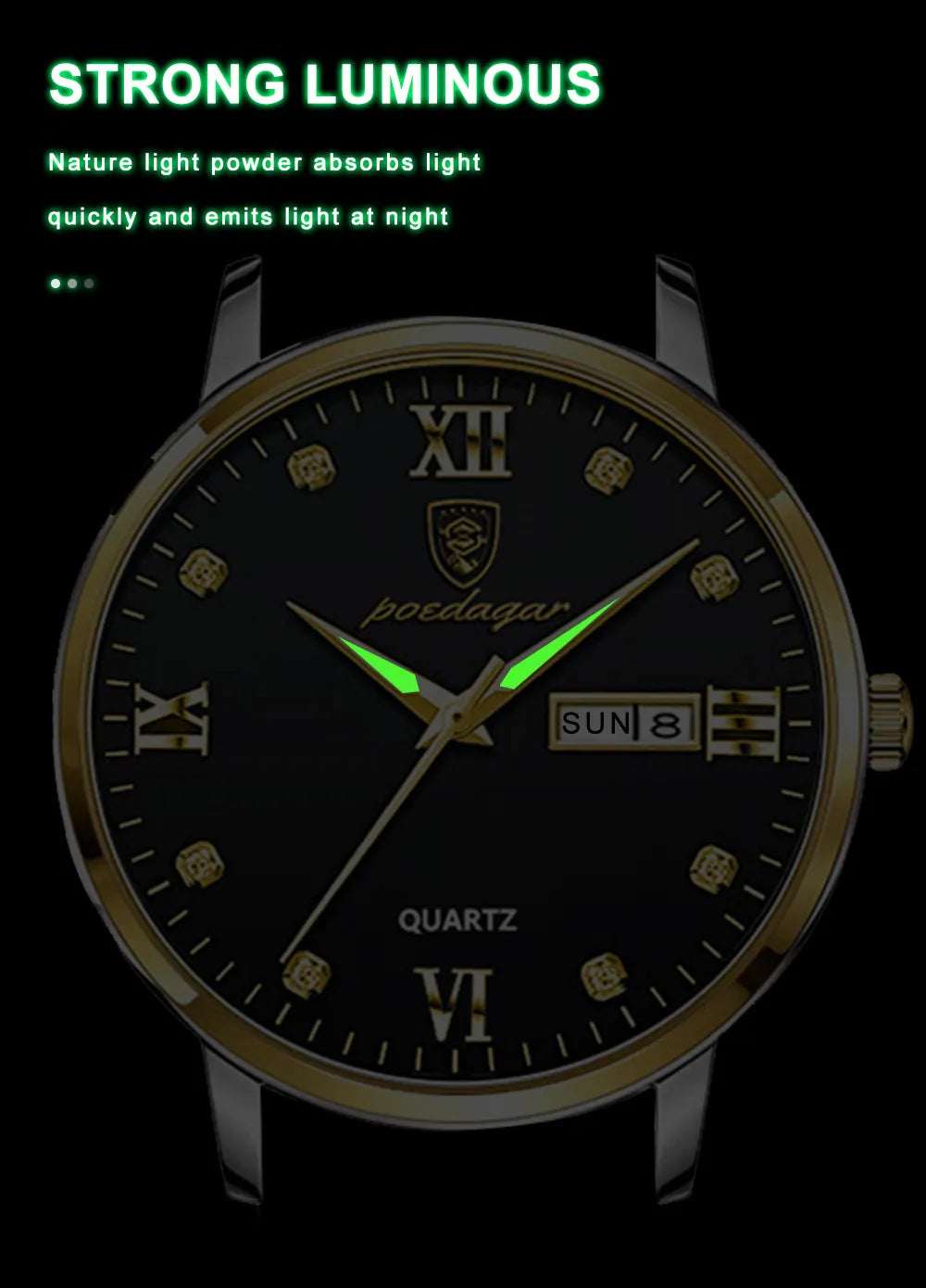 Auster Solaris Leather